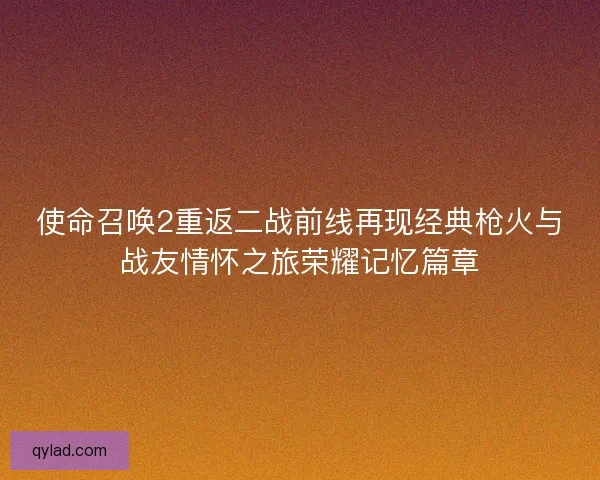 使命召唤2重返二战前线再现经典枪火与战友情怀之旅荣耀记忆篇章 使命召唤2重返二战前线再现经典枪火与战友情怀之旅荣耀记忆篇章